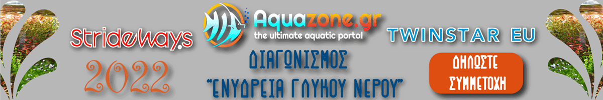 Giveaway contest aquazone.gr twinstareu strideways