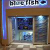 bluefish aquariums